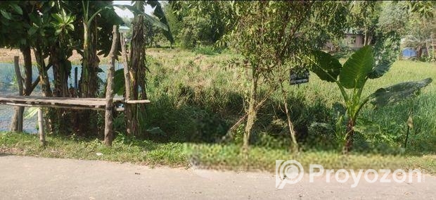 তিন রাস্তার মোড়ে নিষ্কণ্টক জমি ফ্যাক্টরি বা বসবাস