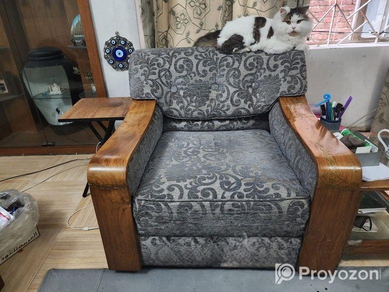 Customized sofa set with center table
