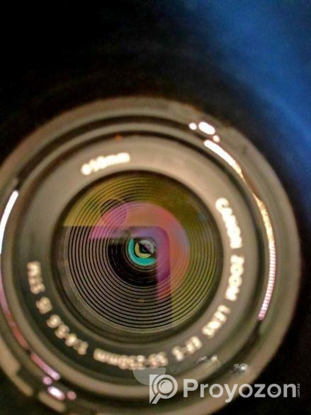 Only zoom lens 55/250 original stm made in Japan