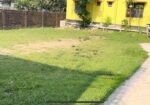 নোয়াখালী মাইজদী জেলা শহরের প্রাণকেন্দ্রে জায়গা ব