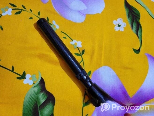 Torchlight MS-S002