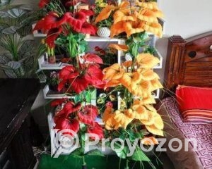 fitted-64_2025-07-28_10-41-31