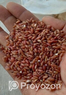 ফুল ফাইবার লাল চাল