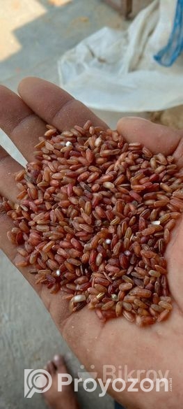 ফুল ফাইবার লাল চাল