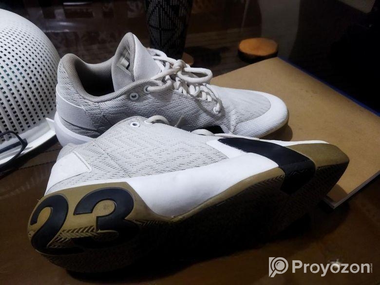 Jordan Ultra Fly 3 Low ‘white””