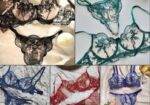 ladies high quality bra