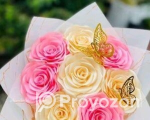 fitted-66_2025-07-28_10-44-45