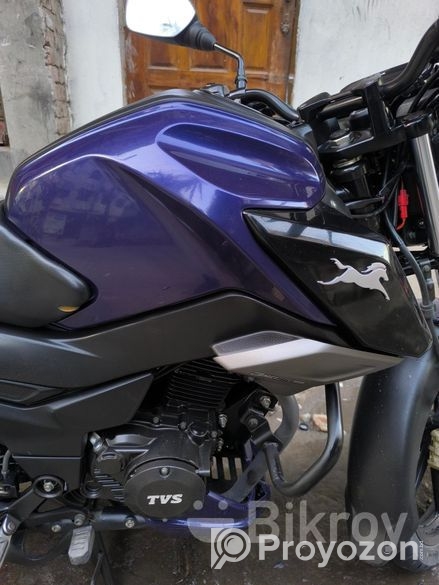 TVS Raider 125 S/D 2024