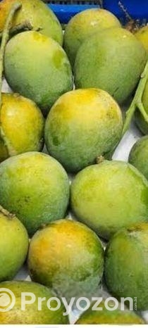 পদাগঞ্জ রংপুর বিখ্যাত হাড়িভাঙ্গা আম পাওয়া