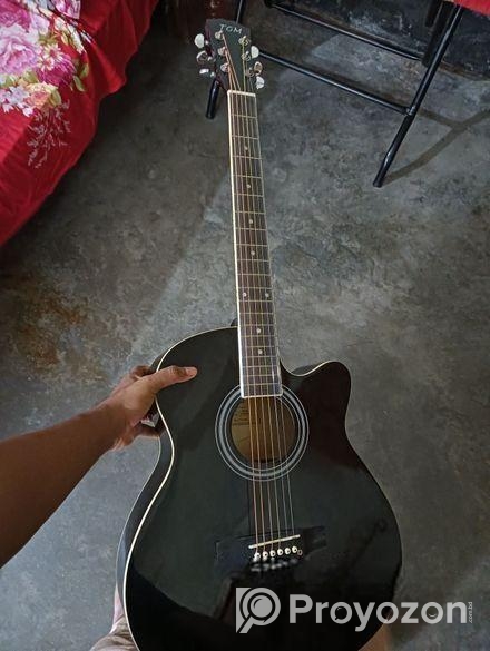 Tgm acoustic guitar