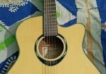 Acoustic Guitar