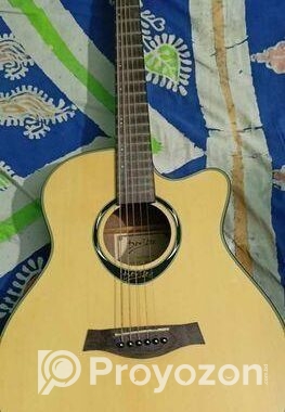 Acoustic Guitar