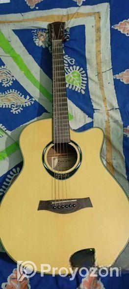 Acoustic Guitar