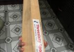 cricket bat