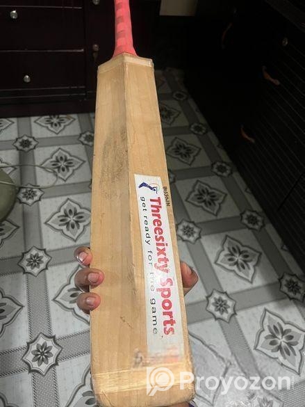 cricket bat