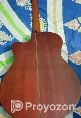 Acoustic Guitar