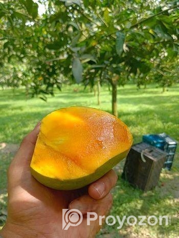 হিমসাগর