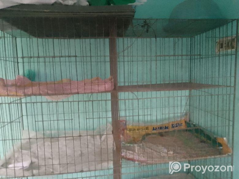 পাখির খাঁচা বিক্রি হবে