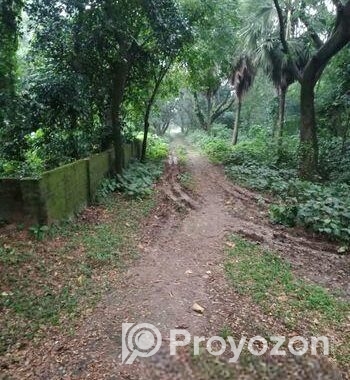 আশুলিয়া “নাভানা ভ্যালী” প্রকল্পে ২.৫০ কাঠা সাইজ