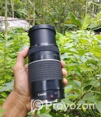Canon 75-300 Lens