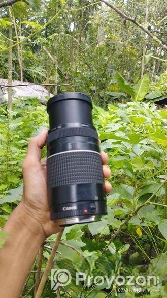 Canon 75-300 Lens