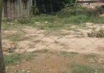 সুন্দর লোকেশনে বাড়ি করা উপযোগী জায়গা