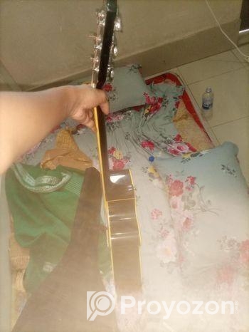 একোস্টিক গিটারAXE48c