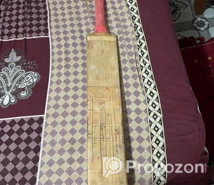 cricket bat