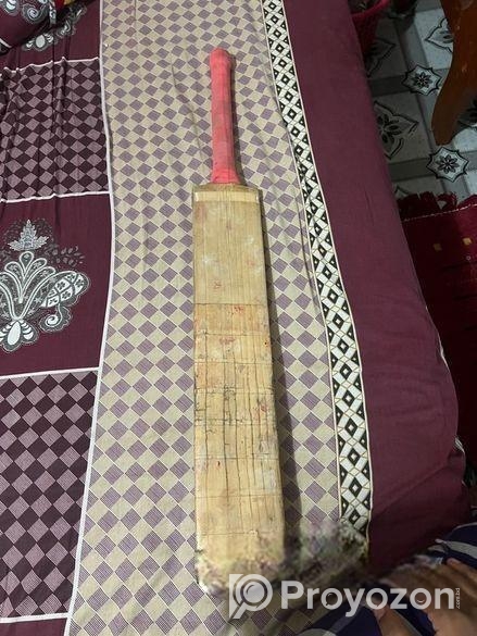 cricket bat