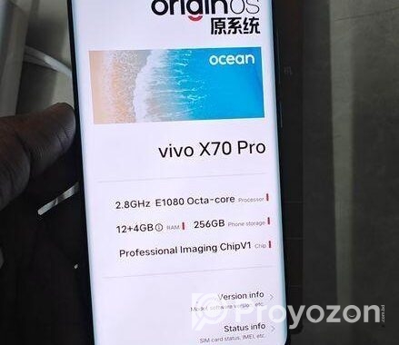 Vivo X70 Pro 12/256 gb (Used)