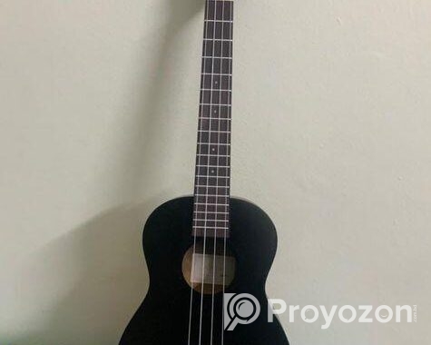 Ukulele guiter