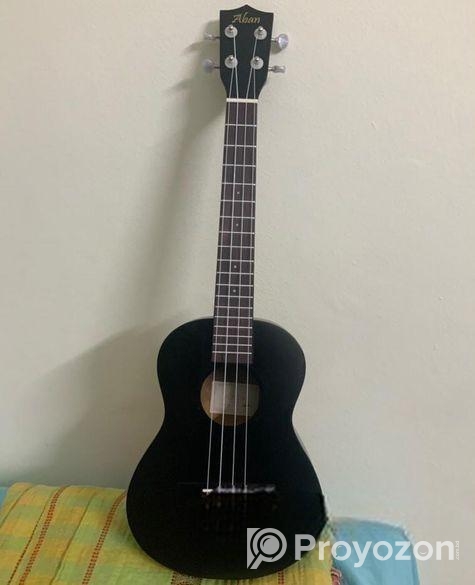 Ukulele guiter