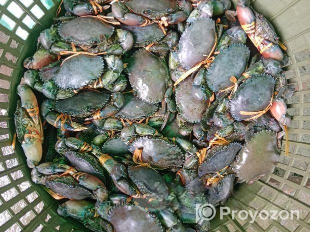 কাঁকড়া বিক্রি হবে