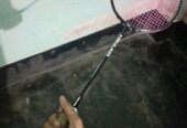 Head Badminton Bat Sell