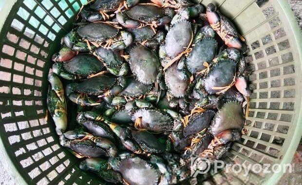 কাঁকড়া বিক্রি হবে