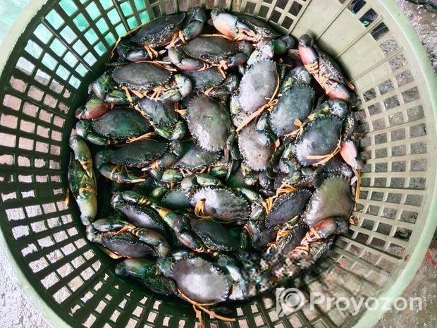 কাঁকড়া বিক্রি হবে