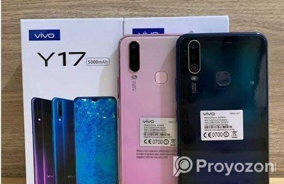 Vivo Y17 6/128 EID OFFER (Used)