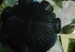 ফিসিং কেস