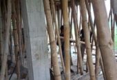সেন্টারিং এর মালামাল