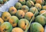 ফরমালিন মুক্ত আম