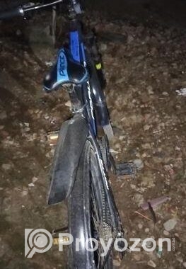 Bicycle for Sale