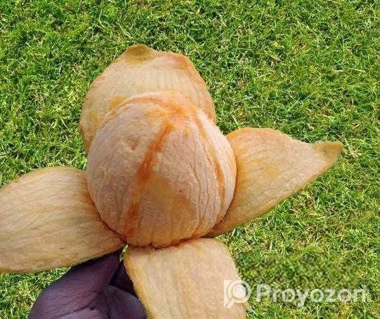 হিমসাগর