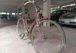 Bicycle for sell