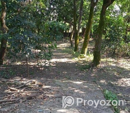 ১৫/১৫ ফিট কর্নার রোডের সাথে ৪৫ শতাংশ জমি বিক্রি কর