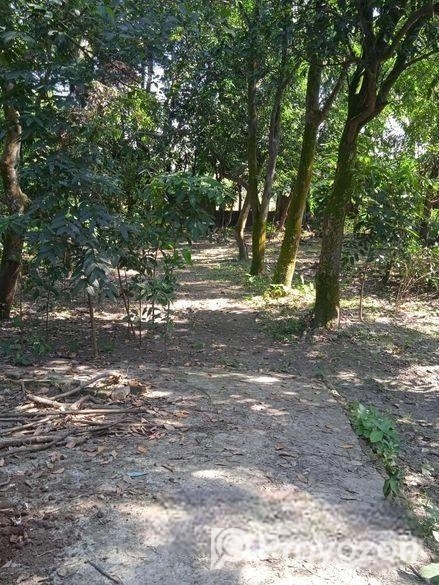 ১৫/১৫ ফিট কর্নার রোডের সাথে ৪৫ শতাংশ জমি বিক্রি কর