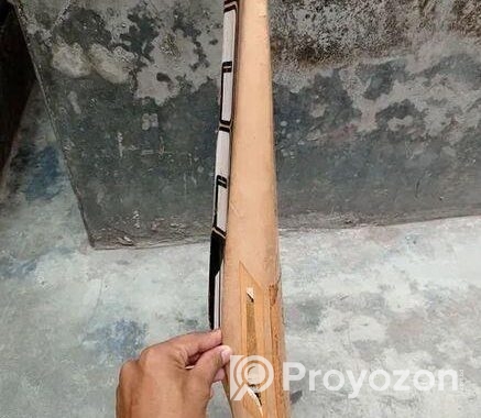 ক্রিকেট ব্যাট ,গ্লাভ,প্যাড