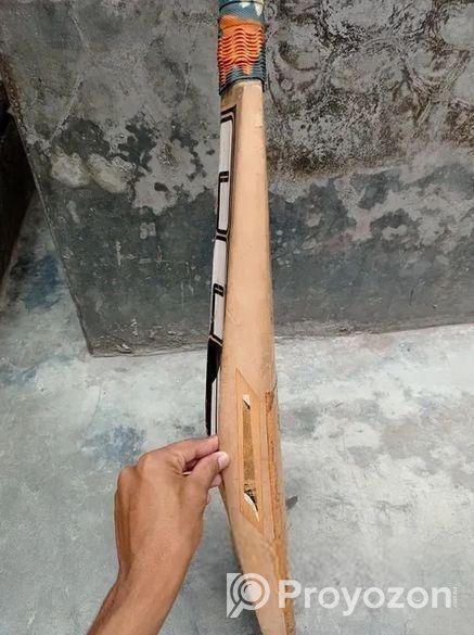 Cricket Bat