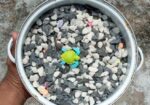 ফুল ফ্রেশ কন্ডিশনের একুরিয়াম