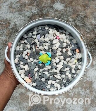 ফুল ফ্রেশ কন্ডিশনের একুরিয়াম