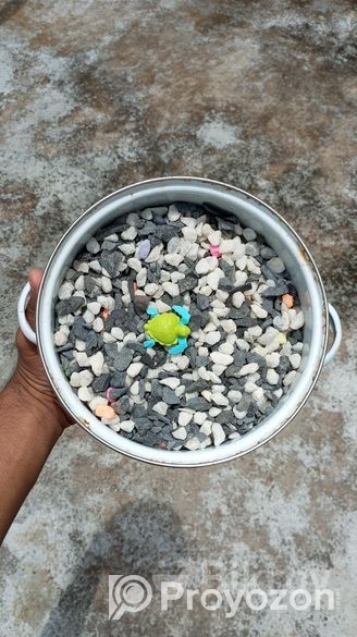 ফুল ফ্রেশ কন্ডিশনের একুরিয়াম